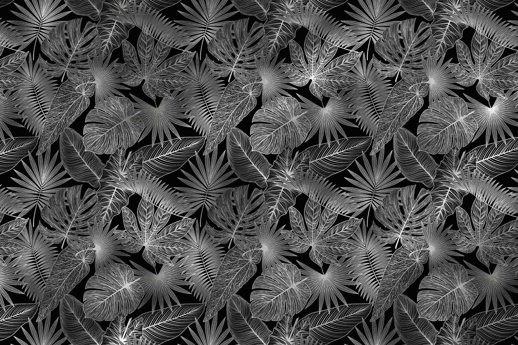 Smoke Jungle
