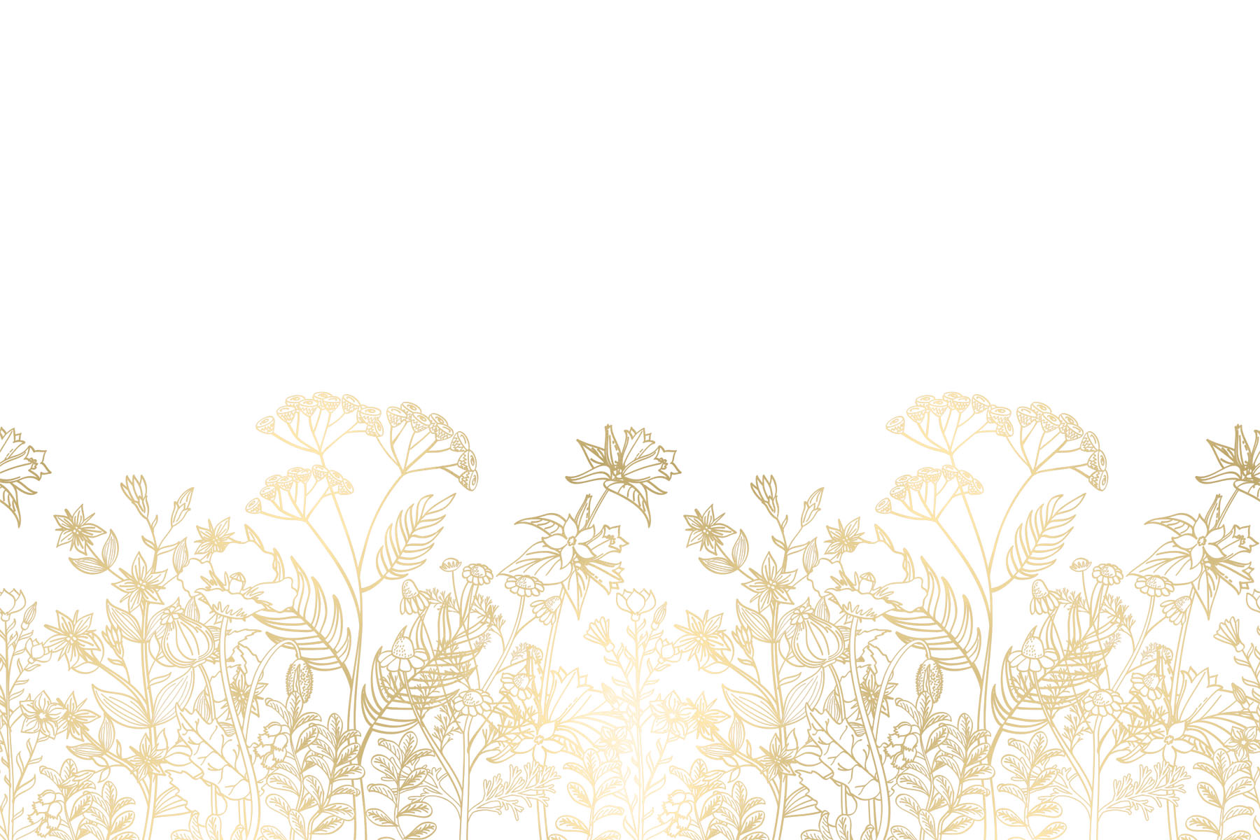 Golden Meadow
