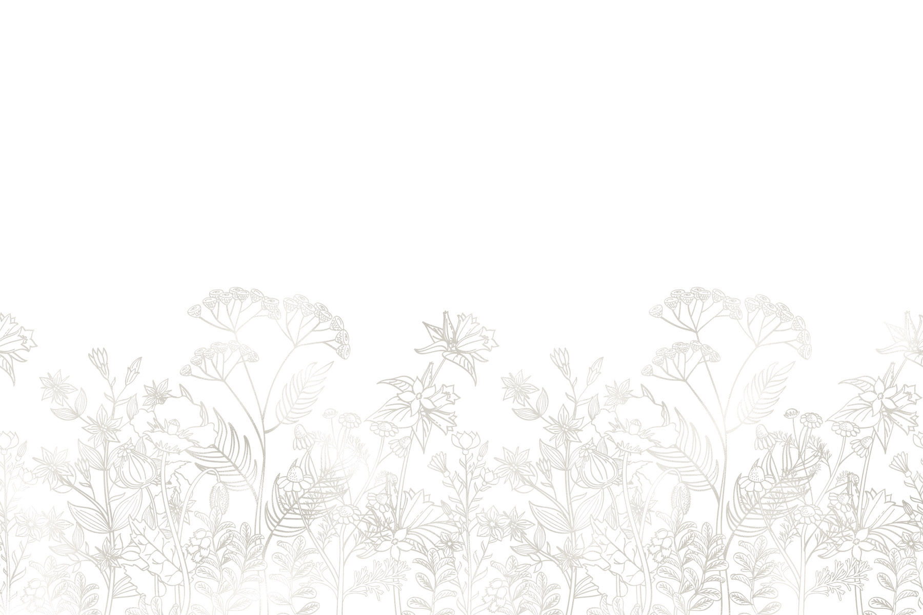 Silk Meadow