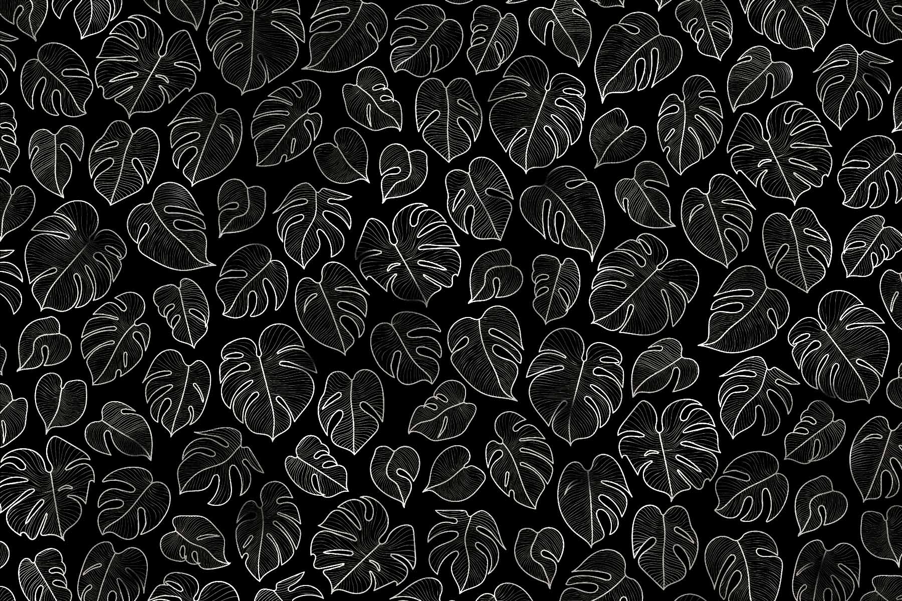 Night Roses